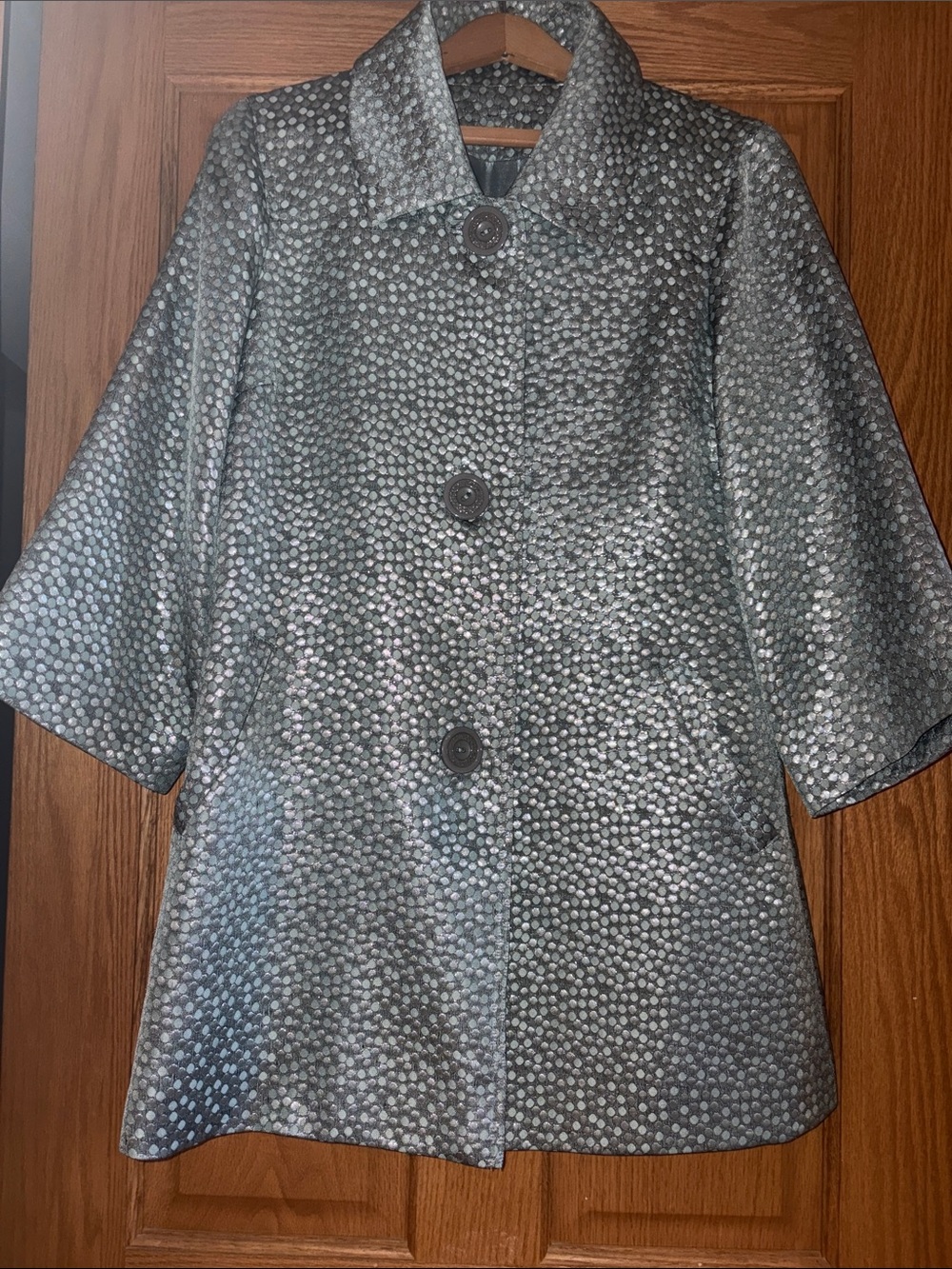 Vintage Shimmer Dot Textured blue Gray Car Coat